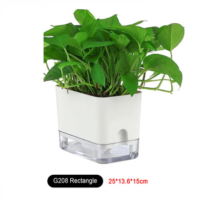 ZENFLORA Extra Large